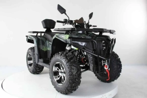 Квадроцикл Motax Grizlik 300