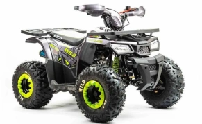 Квадроцикл Motoland 125 WILD (2020 г.)
