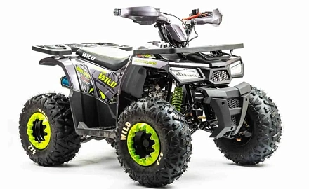 Квадроцикл Motoland 125 WILD (2020 г.)