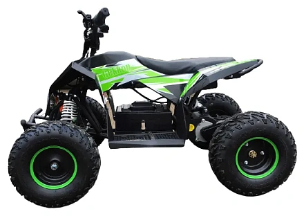 Электроквадроцикл MOTAX GEKKON 1300W