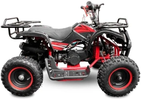 Квадроцикл Motoland 50 MINI (2020 г.)