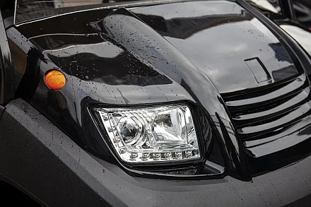 Гольфкар Voltrix EAGLE EG204AHCX