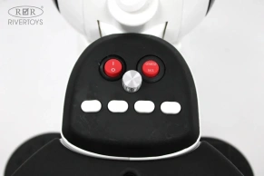 Детский электромотоцикл Rivertoys Moto HL300