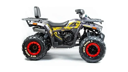 Квадроцикл Motoland 200 WILD TRACK X (баланс. вал)