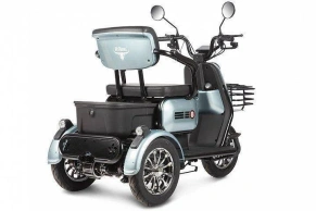Электротрицикл Rutrike Патрон