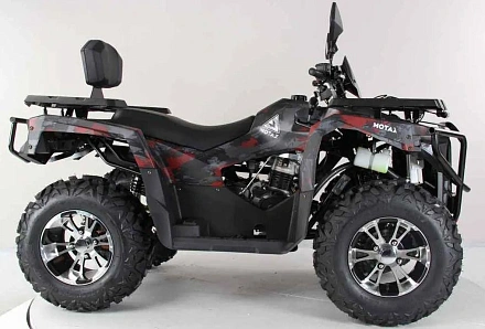 Квадроцикл Motax Grizlik 300