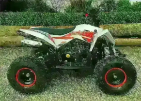 Квадроцикл MOTAX GEKKON 90cc 1+1 (Реверс)