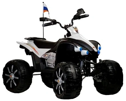 Детский электроквадроцикл Rivertoys P444PP