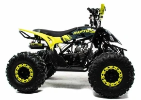 Квадроцикл Motoland 125 RAPTOR A