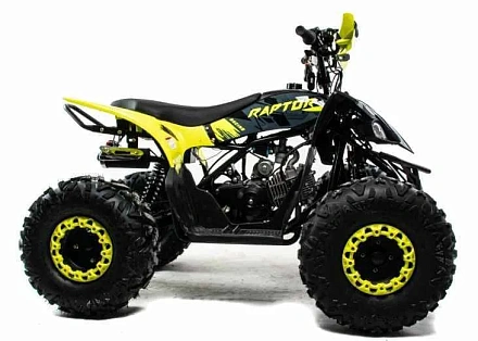Квадроцикл Motoland 125 RAPTOR A