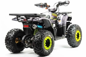 Квадроцикл Motoland 125 WILD (2020 г.)