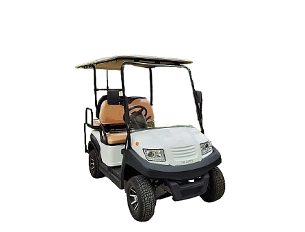 ГОЛЬФКАР Voltus CLUB 2+2