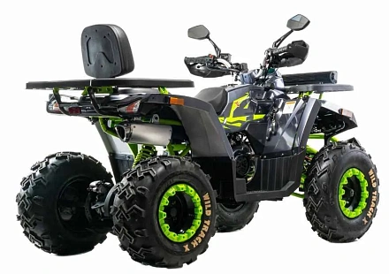 Квадроцикл Motoland 200 WILD TRACK X WINCH (баланс. вал)