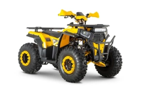 Квадроцикл WELS THUNDER Trail 200