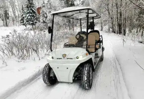 ГОЛЬФКАР КОНКОРДИЯ URBIS 4+2
