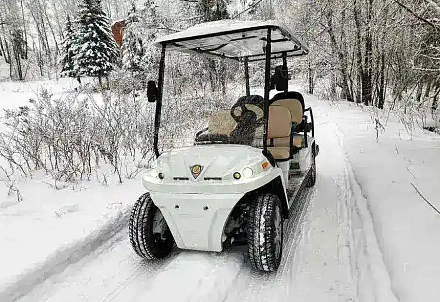 ГОЛЬФКАР КОНКОРДИЯ URBIS 4+2