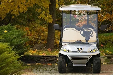 ГОЛЬФКАР КОНКОРДИЯ ГК6+2 С ПЛОЩАДКОЙ ГОРНЫЙ ГИД