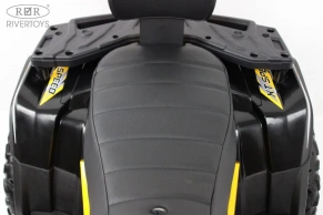 Детский электроквадроцикл Rivertoys T001TT 4WD