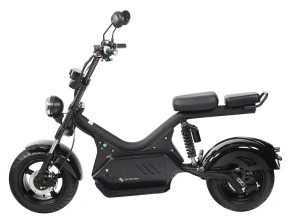 Электроскутер SKYBOARD CITYCOCO BR50-3000 PRO