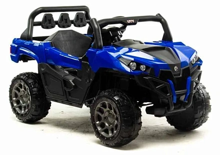 Электромобиль Motoland C009