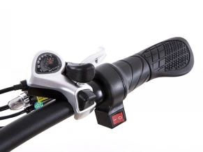 Электровелосипед Elbike Galant Vip