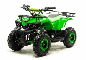 Электроквадроцикл Motoland ATV E009 1000W
