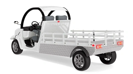 Электромобиль грузовой Elecargo 5E-TIGARBO B1