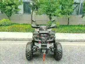 Квадроцикл MOTAX Grizlik T 200 LUX