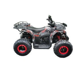 Квадроцикл MOTAX Grizlik T 200 LUX