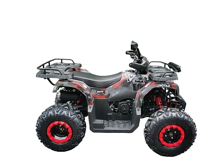 Квадроцикл MOTAX Grizlik T 200 LUX
