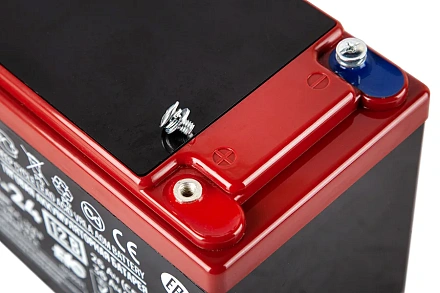 Тяговый гелевый аккумулятор RuTrike 6-DZF-24 (12V24A/H C2)