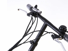 Электровелосипед Elbike Gangstar