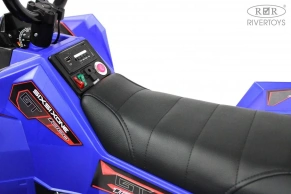 Детский электроквадроцикл Rivertoys A333AA 4WD