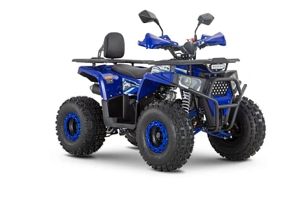 Квадроцикл WELS THUNDER Trail 125 PRO
