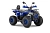 Квадроцикл WELS THUNDER Trail 125 PRO - превью