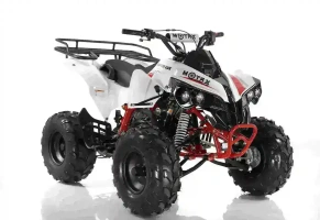 Квадроцикл MOTAX ATV Raptor LUX 125 сс