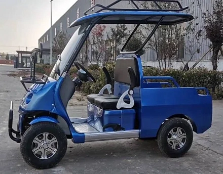 Электромобиль Гольфкар Green Camel A2P (2+Plate 1800W R10 alum)
