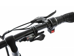Электровелосипед Elbike Taiga 1 St