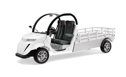 Электромобиль грузовой Elecargo 5E-TIGARBO B1