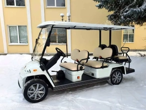 ГОЛЬФКАР КОНКОРДИЯ URBIS 4+2