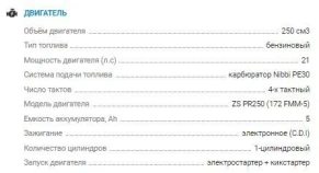 Мотоцикл Avantis А3 LUX (PR250/172FMM-5, 6 ст.) 2022