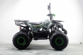 Квадроцикл MOTAX ATV Grizlik Premium 125cc