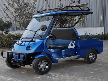 Электромобиль Гольфкар Green Camel A2P (2+Plate 1800W R10 alum)