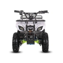 Электроквадроцикл WHITE SIBERIA SNEG MINI