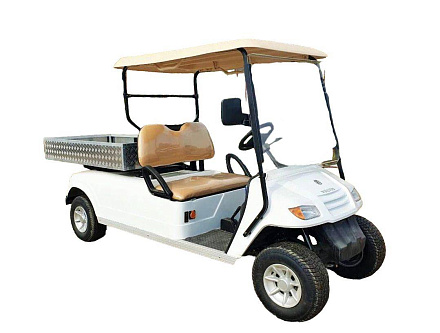 ГОЛЬФКАР Voltus GFC2