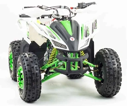 Квадроцикл Motoland 125 COYOTE