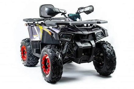Квадроцикл Motoland 200 WILD TRACK X (баланс. вал)