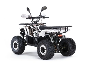 Квадроцикл MOTAX ATV Grizlik 125 cc
