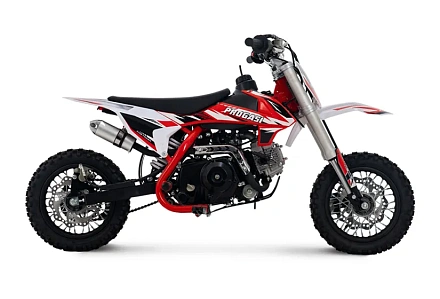 Мотоцикл Питбайк PROGASI Kids Power 110 красный