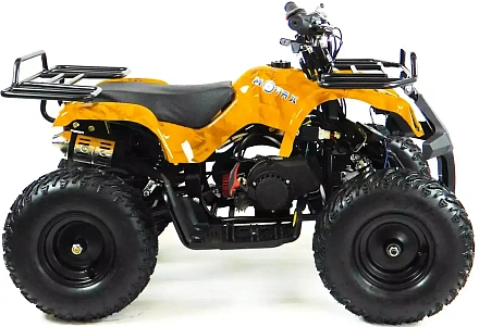 Квадроцикл MOTAX ATV Mini Grizlik Х-16 (э/с) Big Wheel